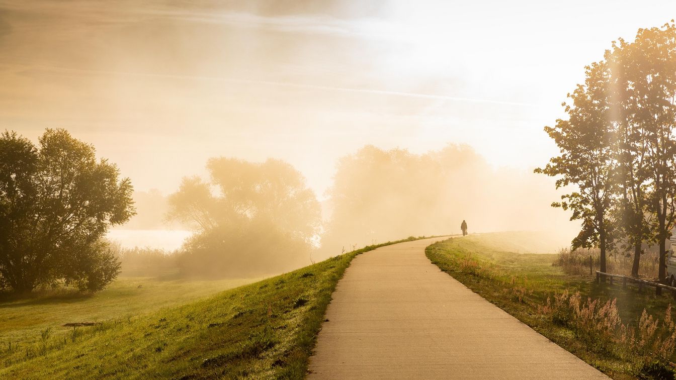 Wiesen und Deich mit Spazierweg bei Sonnenaufgang