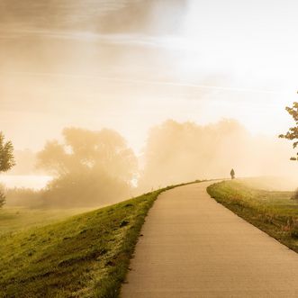 Wiesen und Deich mit Spazierweg bei Sonnenaufgang