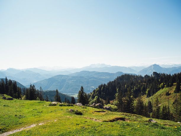 Bergpanorama mit grünen Wiesen im Vordergrund und blauem Himmel