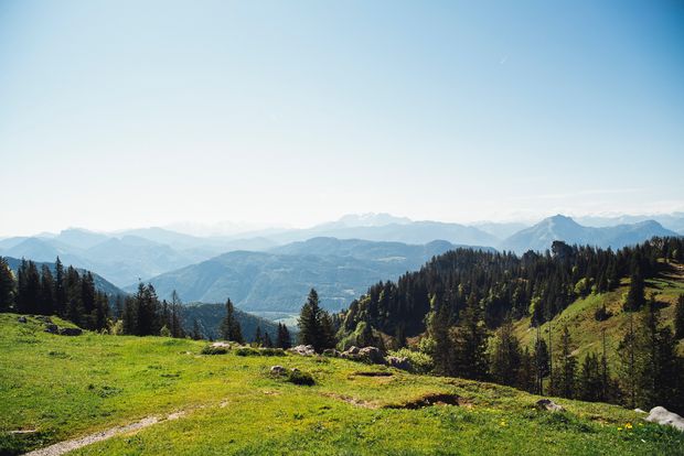 Bergpanorama mit grünen Wiesen im Vordergrund und blauem Himmel