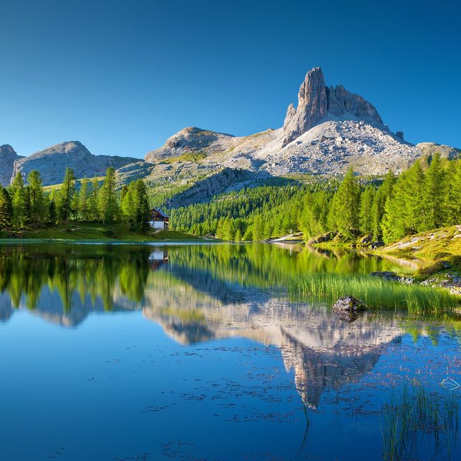 Landschaftsfoto mit einem See vor Bergpanorama und Wäldern 